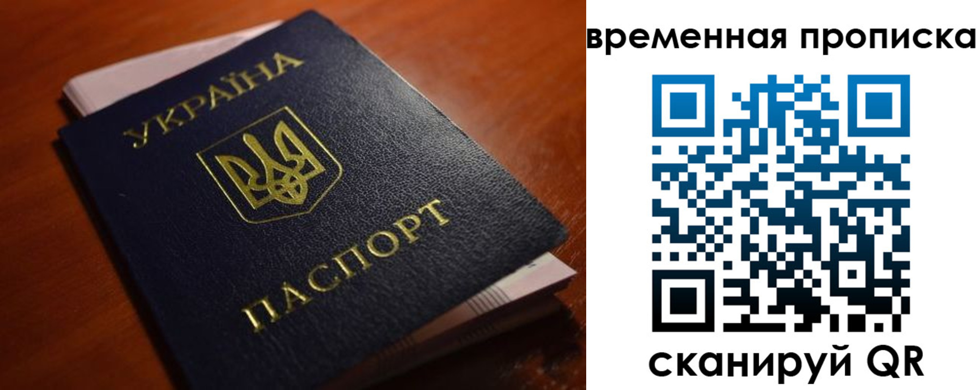 прописка гарантия в Вольске